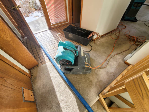 Best Water damage contractors near me  in Drexel, NC