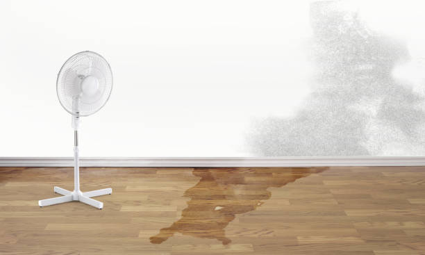 Trusted Drexel, NC Water damage restoration Experts