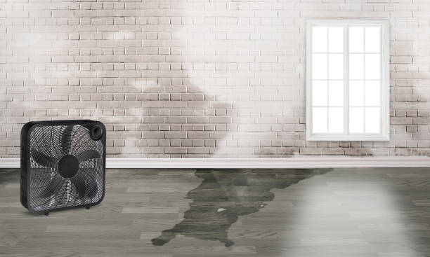 Best Water damage restoration process  in Drexel, NC