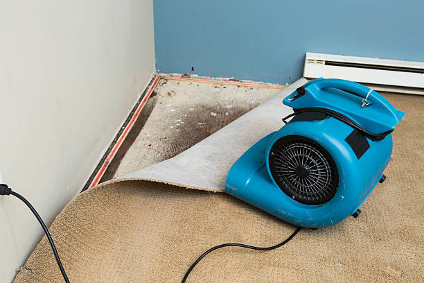 Best Water damage restoration cost  in Drexel, NC